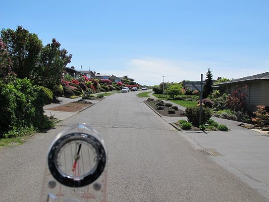 OlyManor2