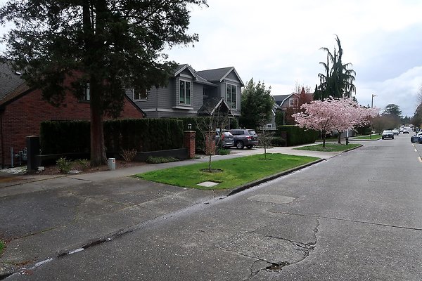 Madison Park Streets - 13