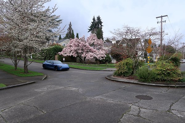 Madison Park Streets - 28