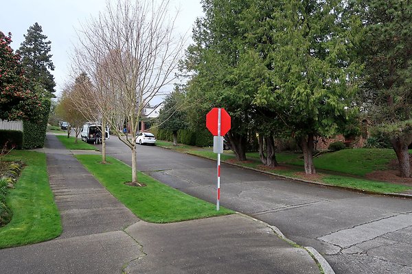 Madison Park Streets - 2