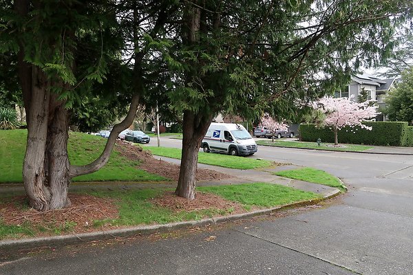 Madison Park Streets - 9