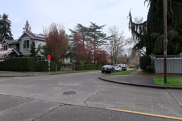 Madison Park Streets - 5