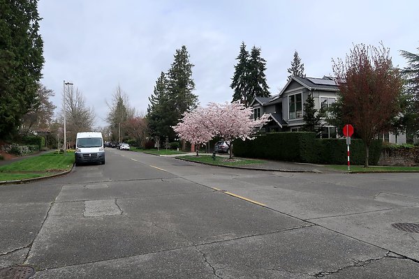 Madison Park Streets - 4