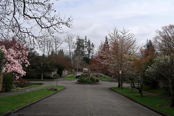 Madison Park Streets - 21