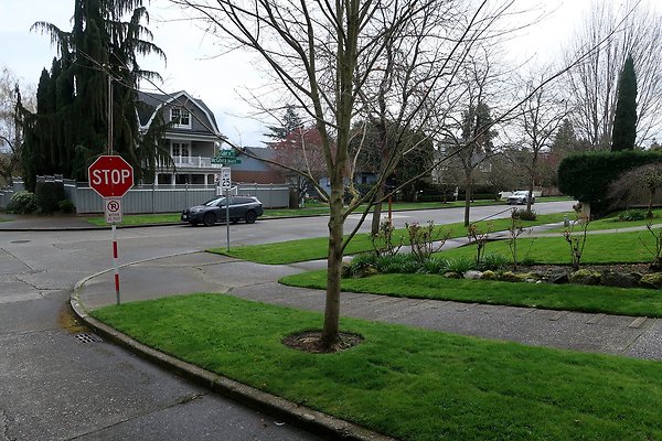 Madison Park Streets - 11