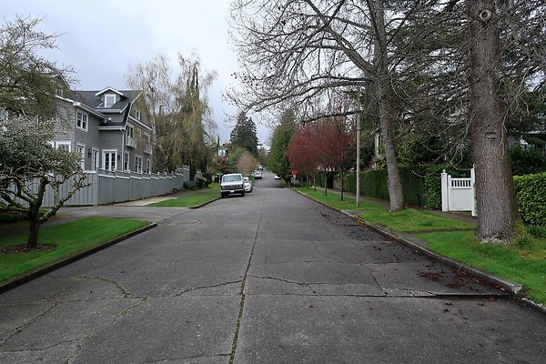 Madison Park Streets - 23