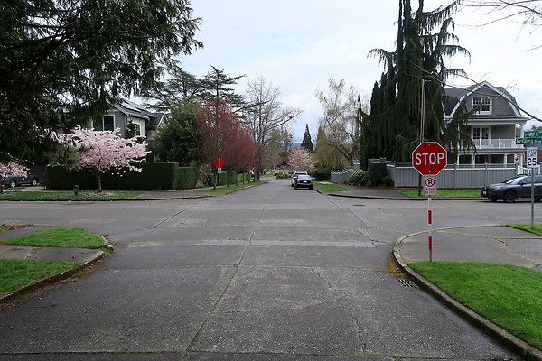 Madison Park Streets - 10