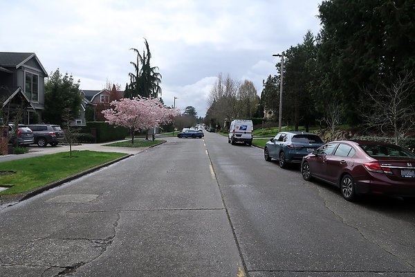 Madison Park Streets - 14
