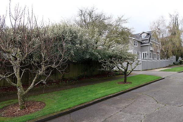 Madison Park Streets - 22