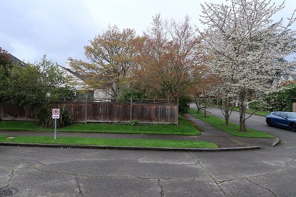 Madison Park Streets - 27