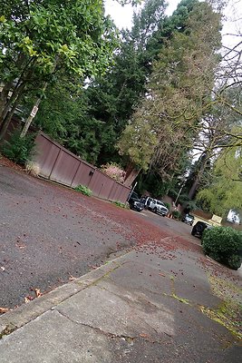 Denny Blaine Neighborhood and park - 57