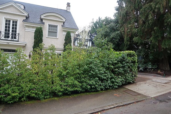 Denny Blaine Neighborhood and park - 58