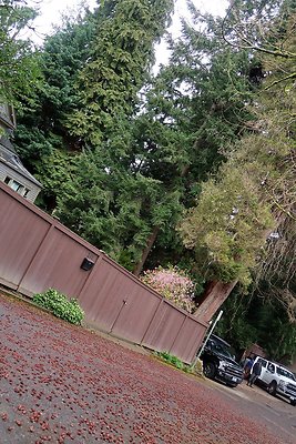 Denny Blaine Neighborhood and park - 56