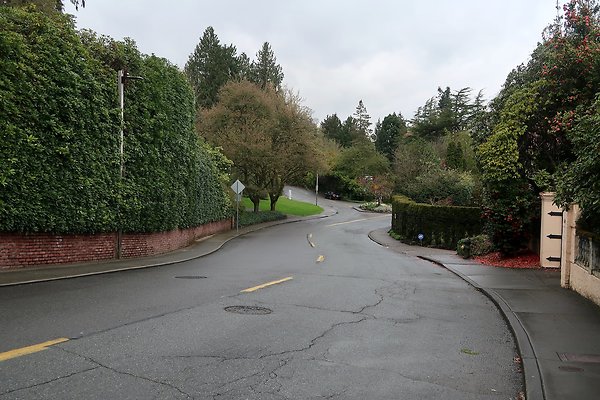 Denny Blaine Neighborhood and park - 11