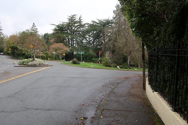 Denny Blaine Neighborhood and park - 21