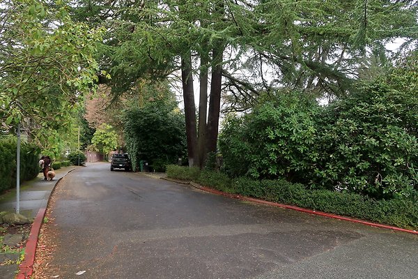 Denny Blaine Neighborhood and park - 25