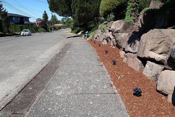 Seward Park S Spencer and 52nd Ave Sidewalks - 56