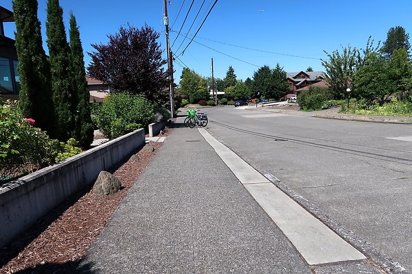 Seward Park S Spencer and 52nd Ave Sidewalks - 80