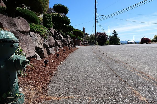 Seward Park S Spencer and 52nd Ave Sidewalks - 58