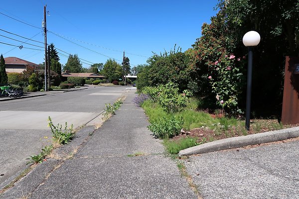 Seward Park S Spencer and 52nd Ave Sidewalks - 63