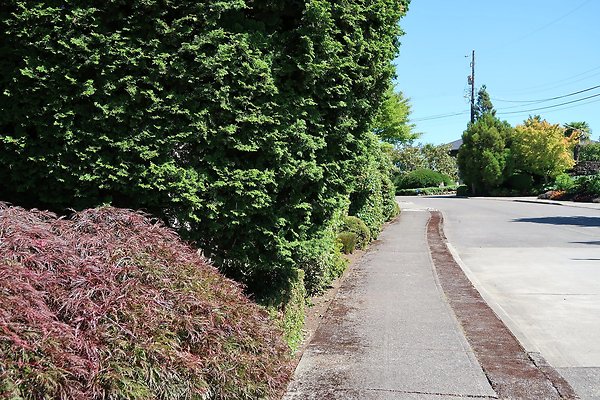 Seward Park S Spencer and 52nd Ave Sidewalks - 13