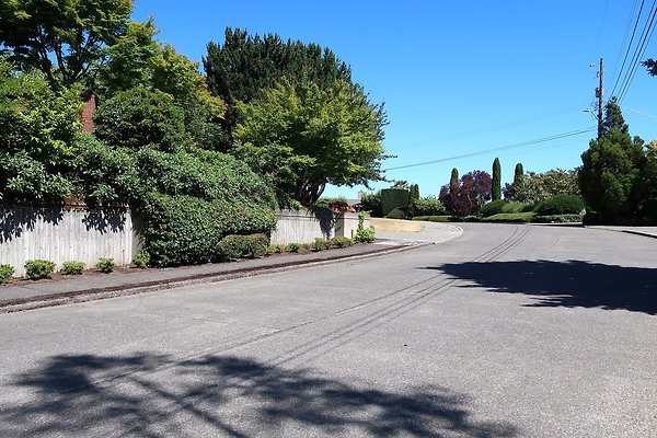 Seward Park S Spencer and 52nd Ave Sidewalks - 23