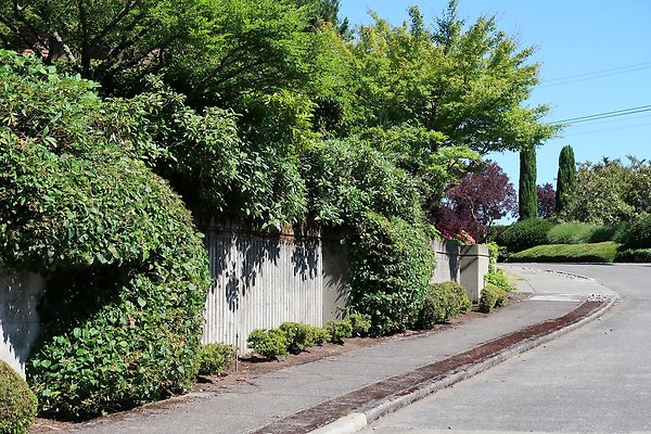 Seward Park S Spencer and 52nd Ave Sidewalks - 15
