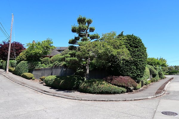 Seward Park S Spencer and 52nd Ave Sidewalks - 12
