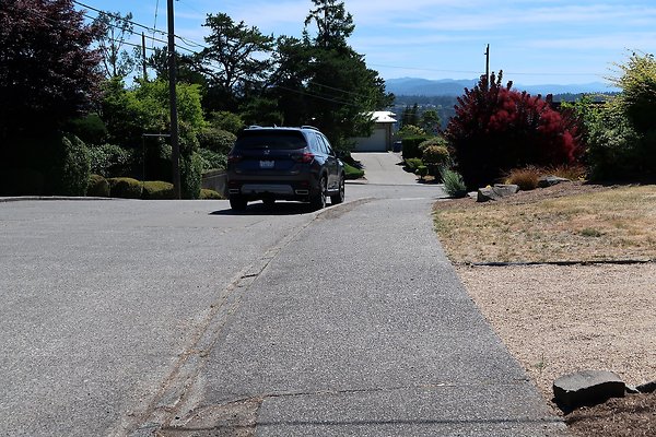 Seward Park S Spencer and 52nd Ave Sidewalks - 95