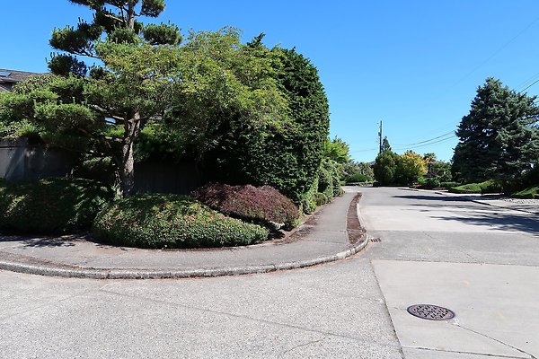 Seward Park S Spencer and 52nd Ave Sidewalks - 10