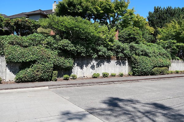 Seward Park S Spencer and 52nd Ave Sidewalks - 22