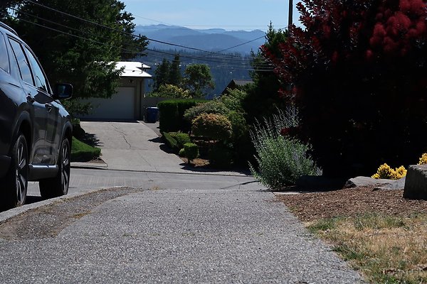 Seward Park S Spencer and 52nd Ave Sidewalks - 96