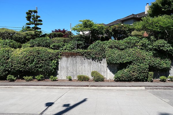 Seward Park S Spencer and 52nd Ave Sidewalks - 21
