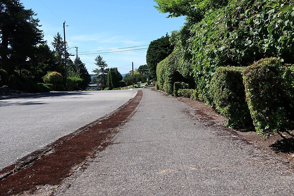 Seward Park S Spencer and 52nd Ave Sidewalks - 45