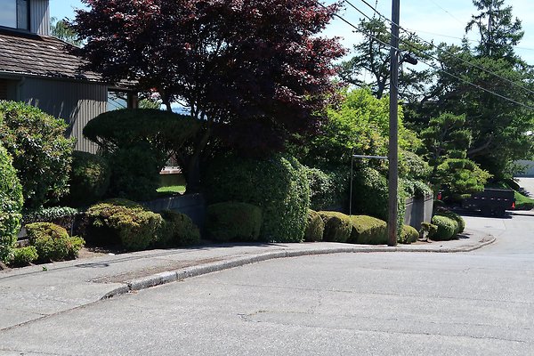 Seward Park S Spencer and 52nd Ave Sidewalks - 99
