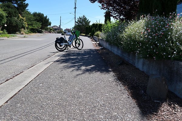 Seward Park S Spencer and 52nd Ave Sidewalks - 74