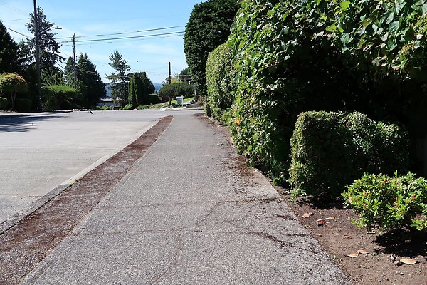 Seward Park S Spencer and 52nd Ave Sidewalks - 46