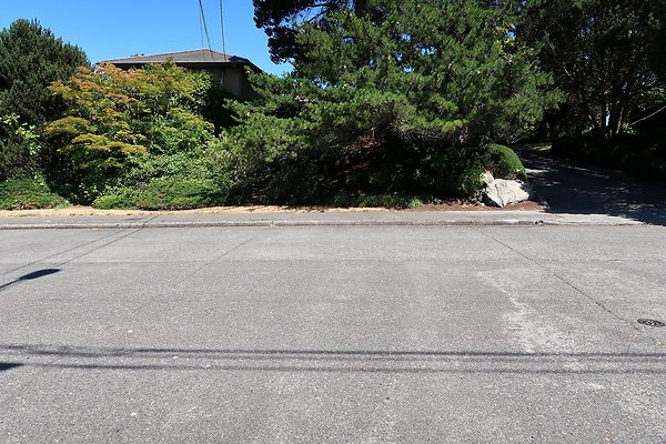 Seward Park S Spencer and 52nd Ave Sidewalks - 89