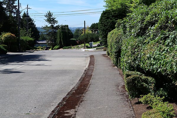 Seward Park S Spencer and 52nd Ave Sidewalks - 43