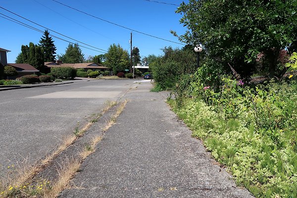Seward Park S Spencer and 52nd Ave Sidewalks - 65