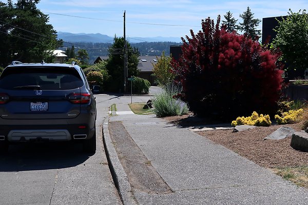 Seward Park S Spencer and 52nd Ave Sidewalks - 98