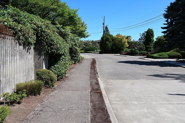 Seward Park S Spencer and 52nd Ave Sidewalks - 19
