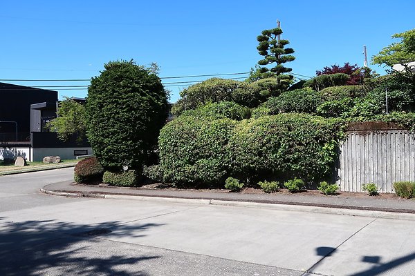 Seward Park S Spencer and 52nd Ave Sidewalks - 20