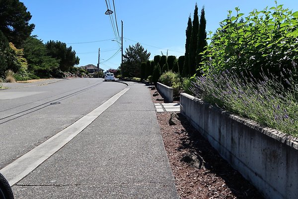 Seward Park S Spencer and 52nd Ave Sidewalks - 75