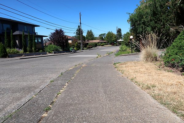 Seward Park S Spencer and 52nd Ave Sidewalks - 62