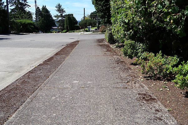 Seward Park S Spencer and 52nd Ave Sidewalks - 47