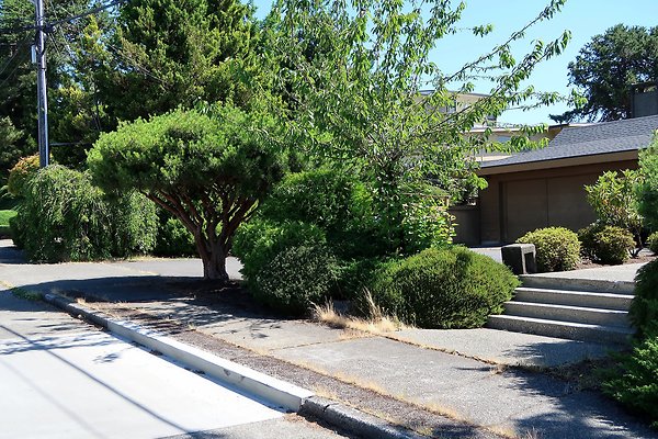 Seward Park S Spencer and 52nd Ave Sidewalks - 7