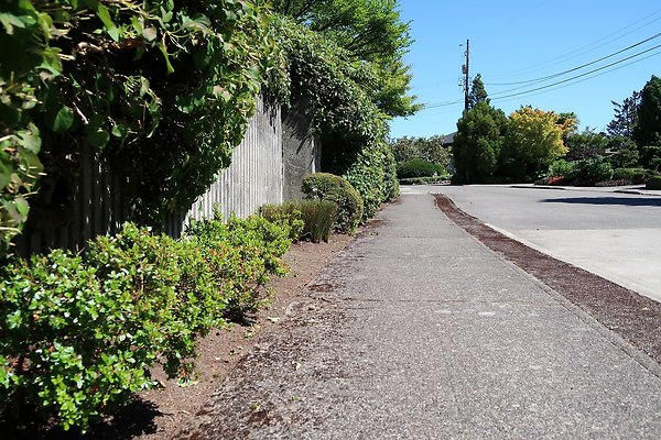 Seward Park S Spencer and 52nd Ave Sidewalks - 48