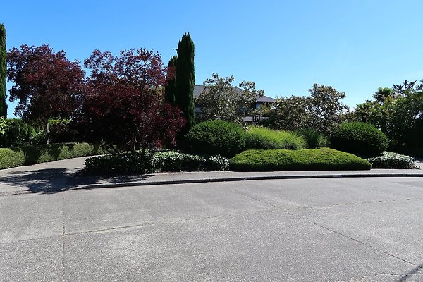 Seward Park S Spencer and 52nd Ave Sidewalks - 38