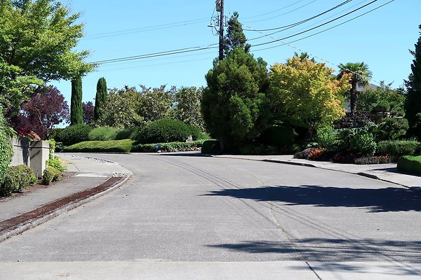 Seward Park S Spencer and 52nd Ave Sidewalks - 16